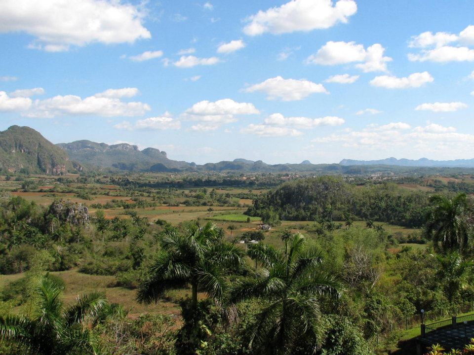 De Viñales-vallei in Cuba, een landschap bezaaid met mogotes